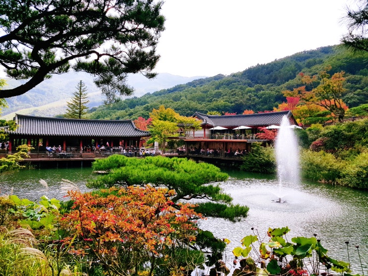  025 화담숲 데이트 _ 가을 단풍 놀이