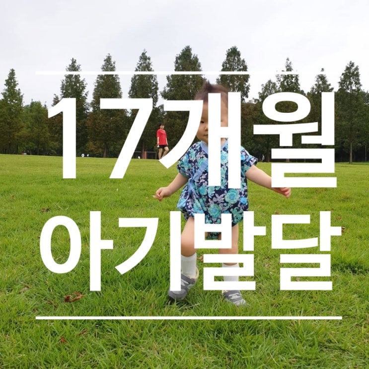 생후 17개월 아기 발달 - 뭐하고 놀까요? 생후 17개월 아기 발달 - 뭐하고 놀까요?