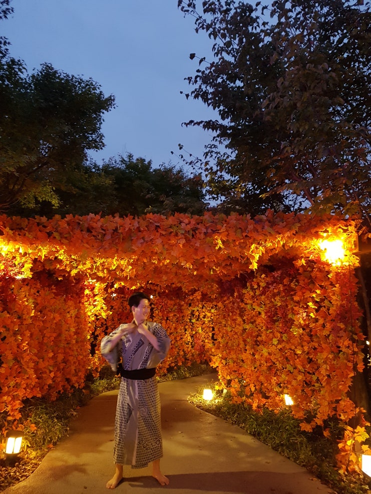  5월의 도쿄 여행 오오에도 온천 싸게 가는 방법과 셔틀 버스 위치