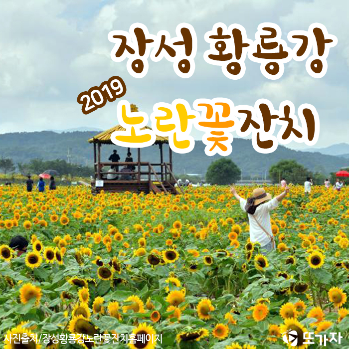  2019 장성황룡강 노란꽃 잔치 '전남 가볼만한곳'