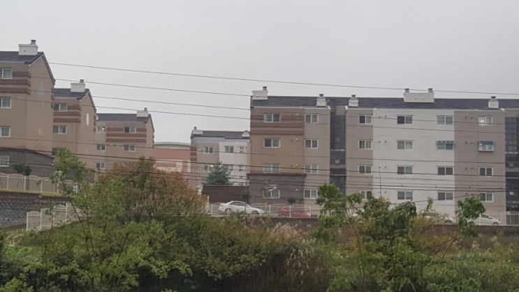  조용히 적시는 가을비