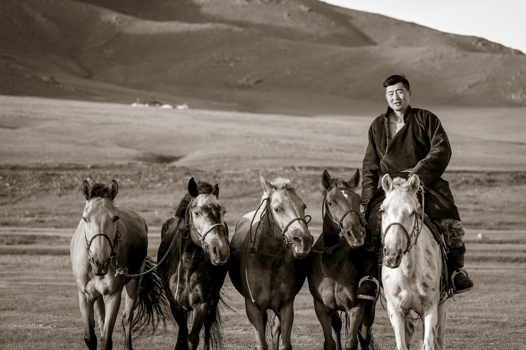 몽골 테를지 국립공원 물 위를 뛰는 말 촬영 -2