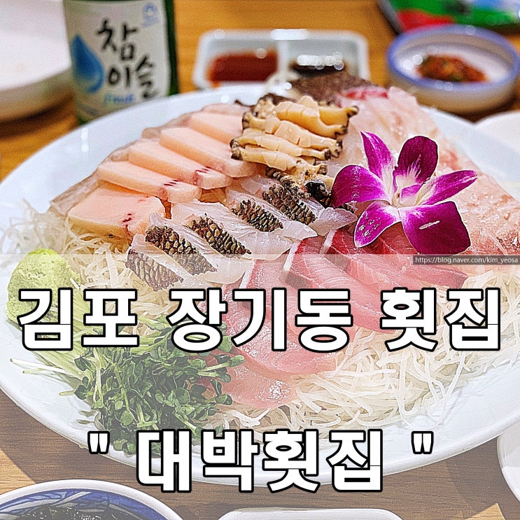  김포 장기동 횟집 - 가족모임 코스정식 추천 '대박횟집'