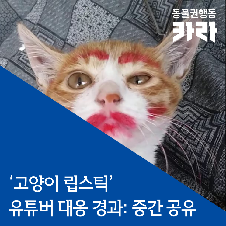 동물을 장난감 취급하며 고의적으로 도발하는 유튜버 ‘yeonhan oh’에 대한 대응