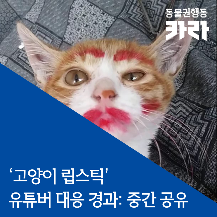  동물을 장난감 취급하며 고의적으로 도발하는 유튜버 ‘yeonhan oh’에 대한 대응