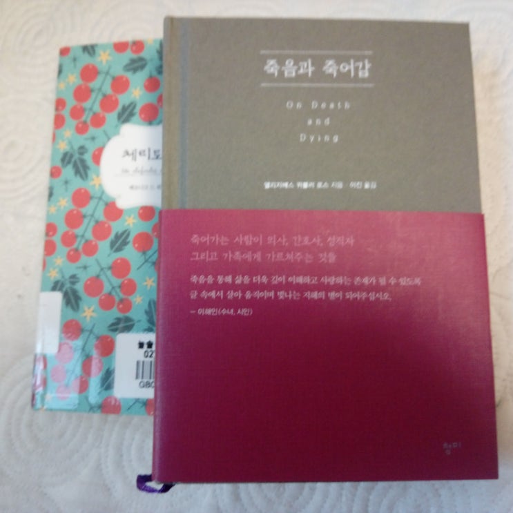  베로니크 드 뷔르의 '체리토마토파이'