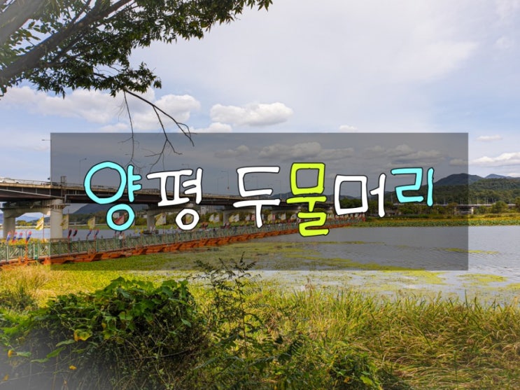  양평 가볼만한곳 두물머리 핫도그 강추