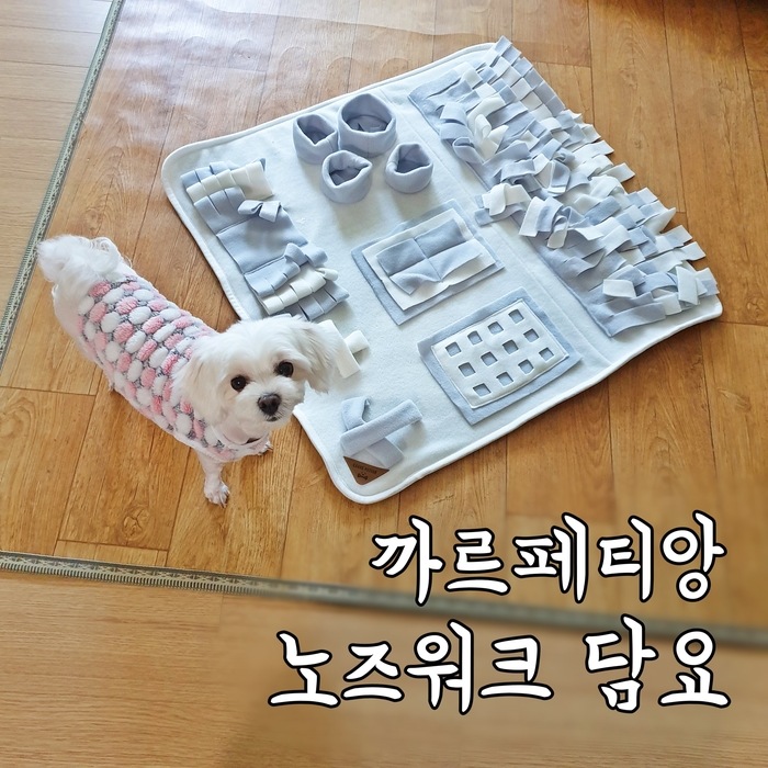  [우수후기선물] 까르페티앙 노즈워크담요로 신나게 돌아요~