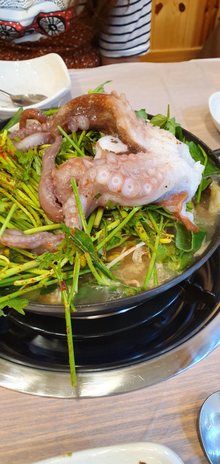  삼척맛집, 문어해물탕이 최고인 일품해물탕