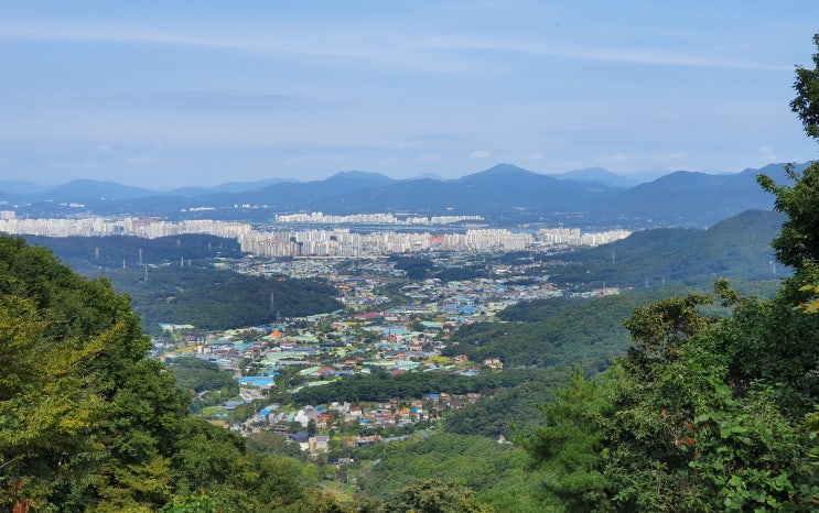 부동산 투자 포인트 - 지역, 정책, 자금