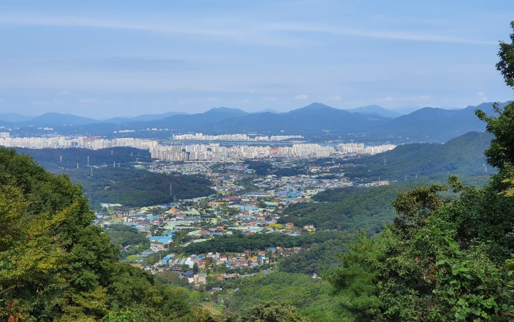 부동산 투자 포인트 - 지역, 정책, 자금