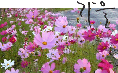  주간띠별운세 2019년 10월7일~10월13일 부천점집 별신당