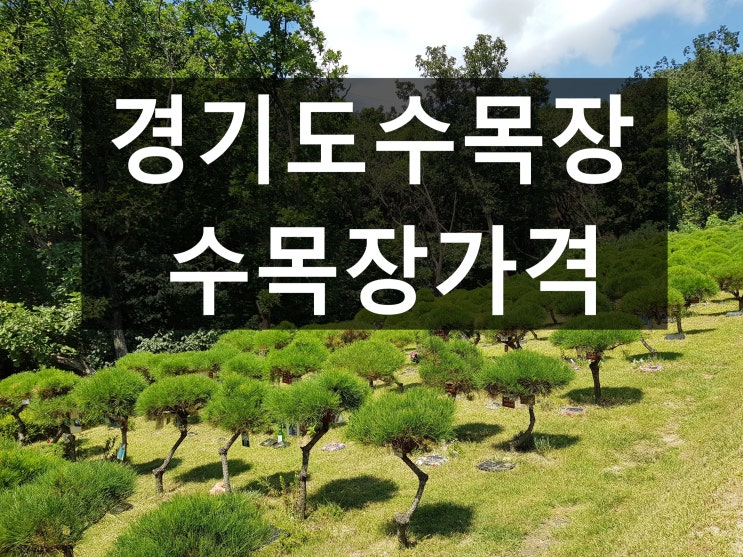  경기도 수목장 가격을 살펴볼까요?