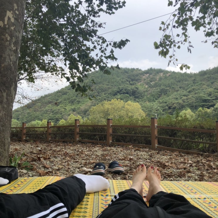  [ 일상 ] 뭔일로 꿀날씨 일요일 송산유원지 나들이