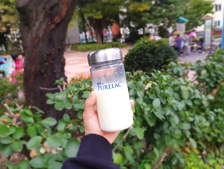임산부 간식 퓨어락 맘스밀 하루에 한잔씩~ 임산부 간식 퓨어락 맘스밀 하루에 한잔씩~