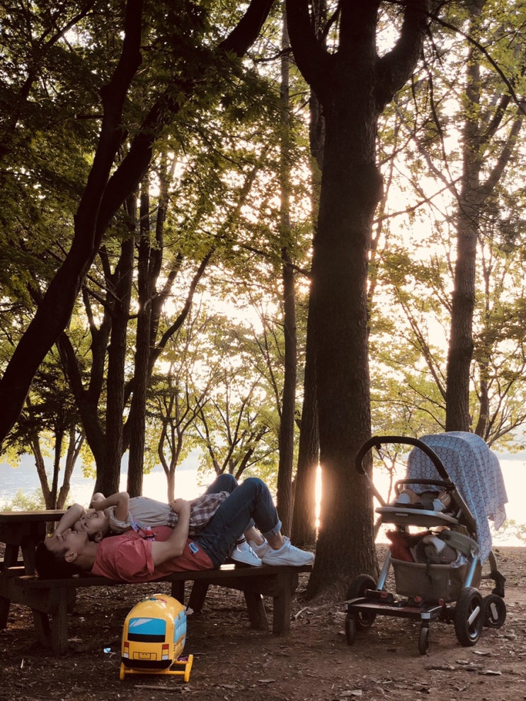 20191004_1006(10개월/6살) 동물보러다녀왔어요(서울대공원)/놀이기구도탔지요(서울랜드)/대하철(야당동외식공간)/멀리갈필요없이집근처에서해결함/맛있규