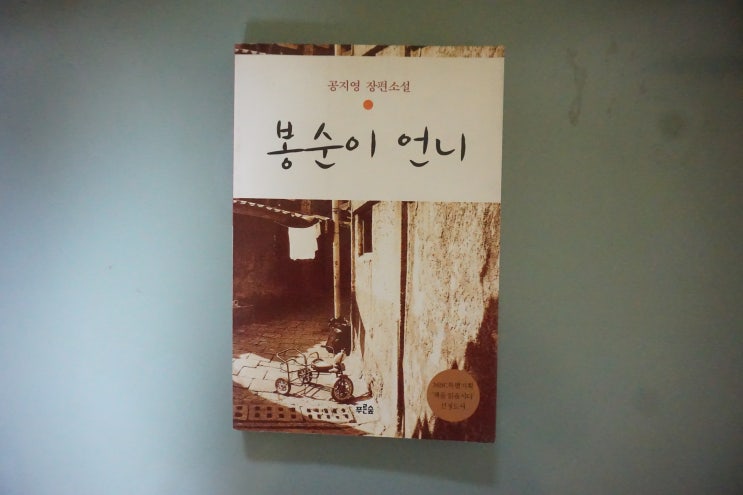  봉순이 언니 안타까움의 끝에서
