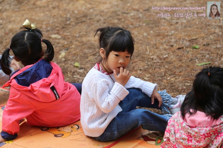  섬유유연제추천 자연에 가까운 걸로 할게요~