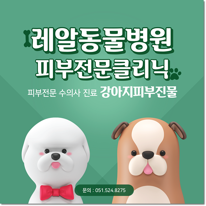  강아지 피부 진물 미루다가 큰일나요!