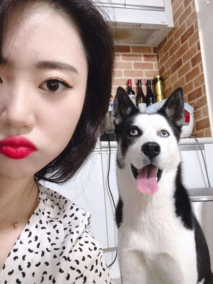  세상에서 제일 행복한 유니쓰의 일상쓰!!!