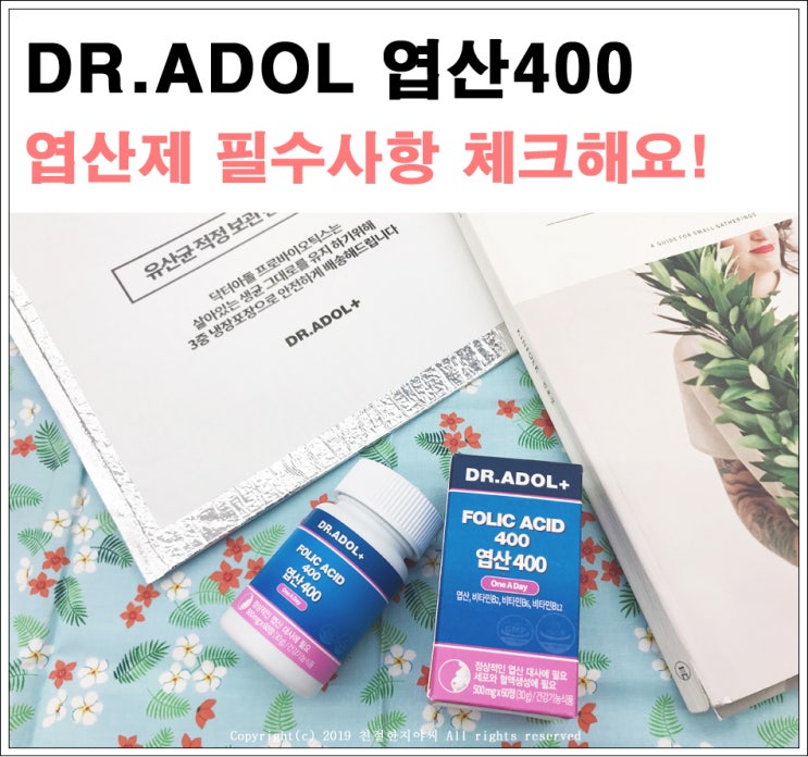  엽산제 필수사항 체크해요
