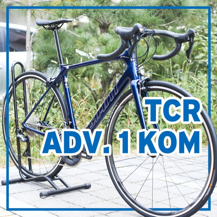완성도 높은 올라운드 카본 로드 자전거 자이언트 자전거 TCR 어드밴스 1 KOM