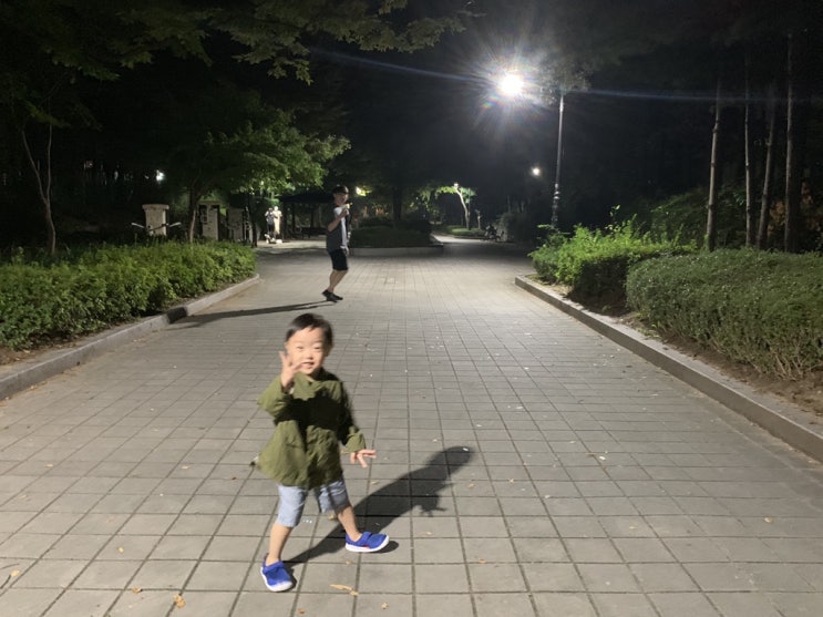  201910/첫째주