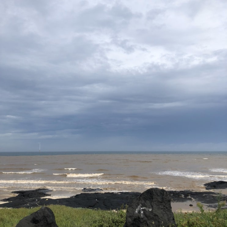  제주도ㄷ