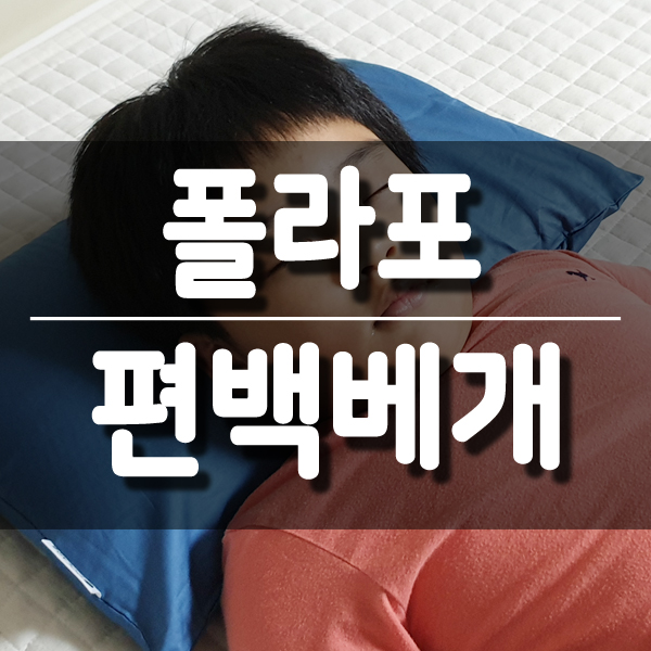  꿀잠베개 추천, 천연100% 시원한 폴라포 편백베개
