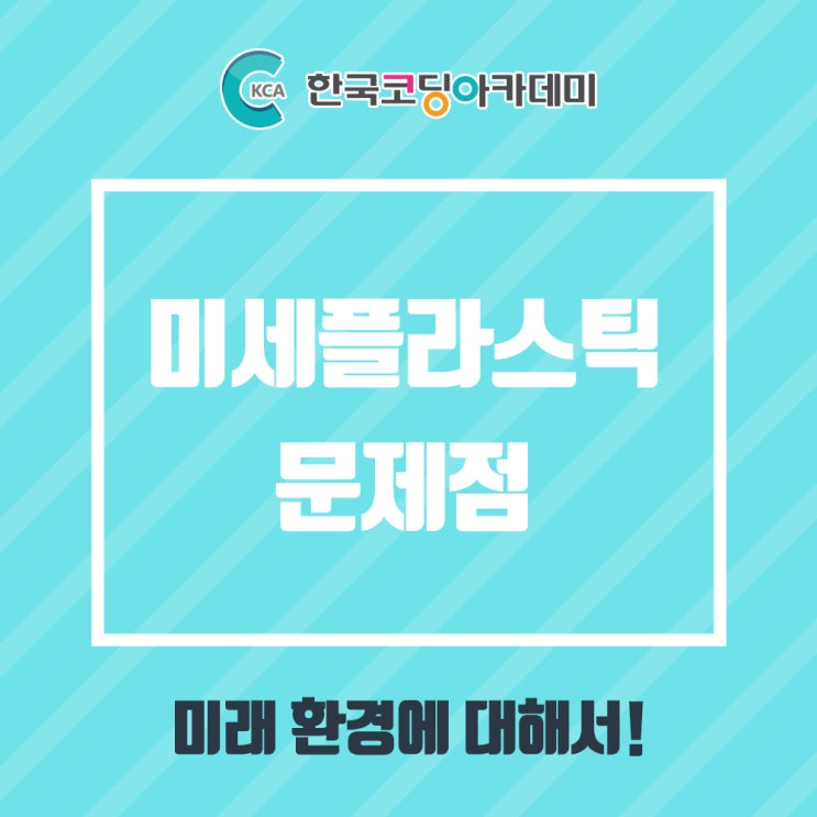  미세플라스틱 문제점, 어떤 문제일까?