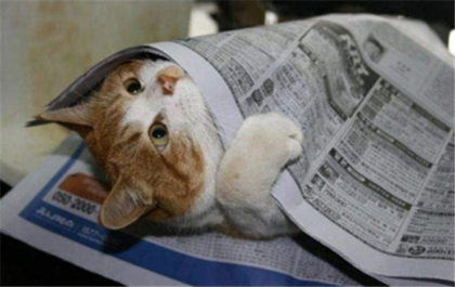  오늘이 한로(寒露)예요 ~  따뜻하게 옷 입으세요~~