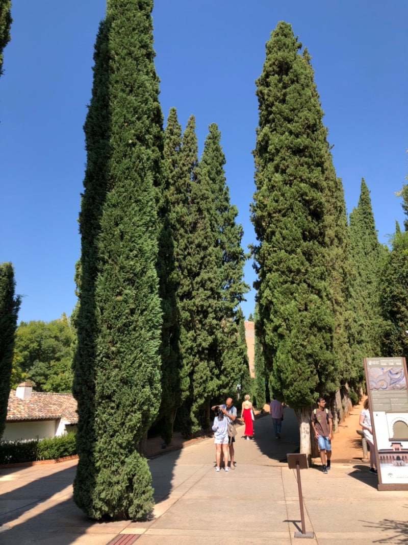 스페인/ 포르투갈 여행 (19.09) - 부엘링 항공, 그라나다 알함브라, 알바이신 투어, 짐보관, 네바다 쇼핑몰, 렌트카로 이동하기  : 네이버 블로그