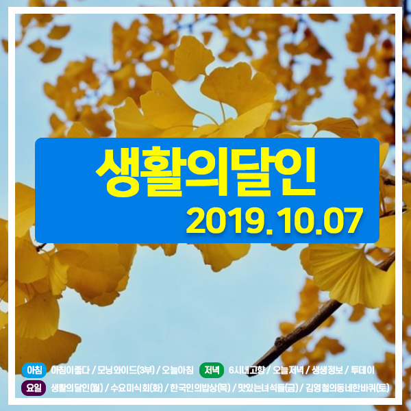  생활의달인 20191007 (691) 은둔식달-만두 달인, 꽈배기 달인, 이삿짐 달인, 은둔식달-꼬마김밥 달인