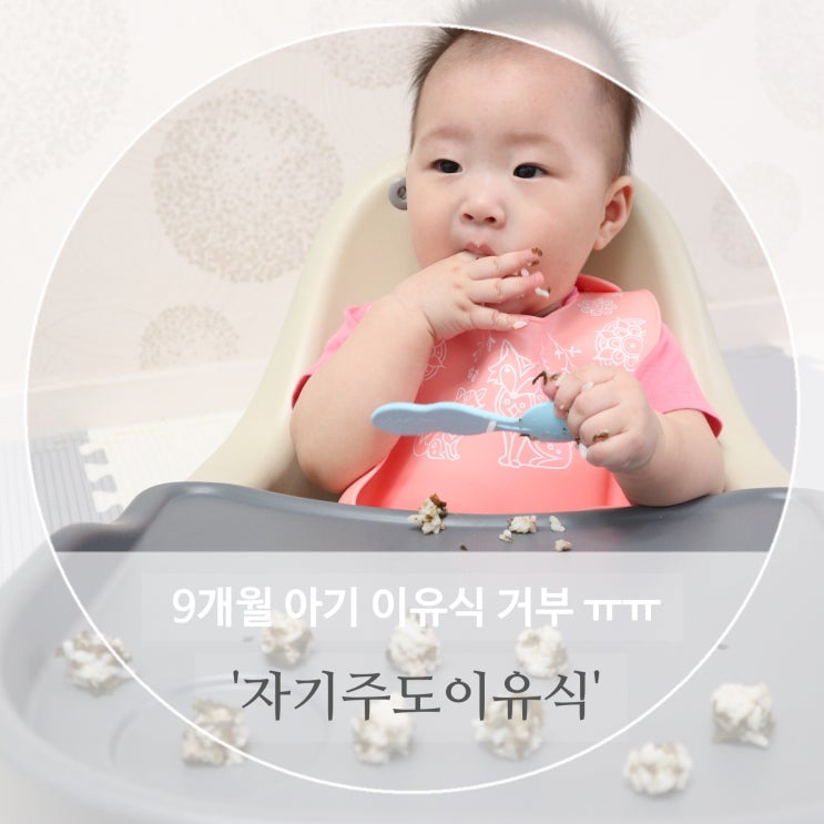  자기주도이유식 시작 했어요 9개월 이유식 거부