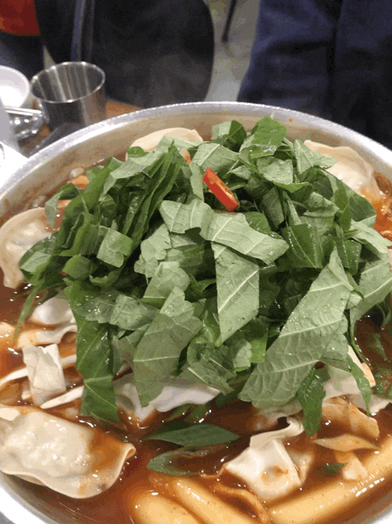  여의도불꽃축제  / 사육신공원 & 연남동 또보겠지떡볶이 & 카페 써치홀 맛잇음️