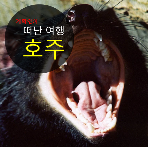  호주, 와일드 라이프 공원