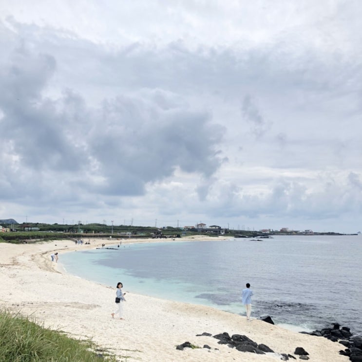  제주도ㄴ