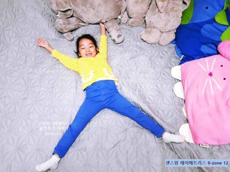  센스맘 에어매트리스 방수커버 역시