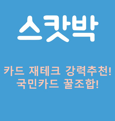  [재테크] 국민카드로 똑똑한 재테크하기 / 리브메이트, 반굴비카드