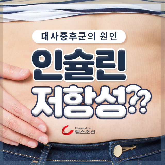  대사증후군의 원인 ‘인슐린저항성’?