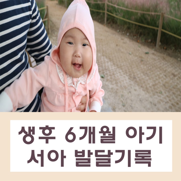  6개월 아기 발달::분유량 수면 간식 등