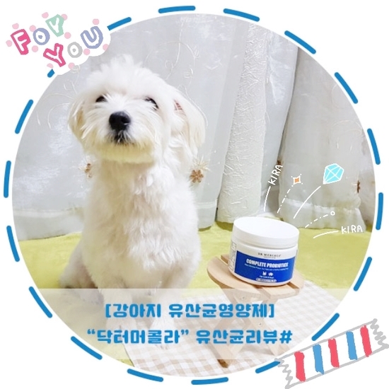  [강아지유산균]"닥터머콜라"유산균영양제 후기#