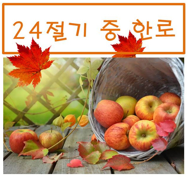  찬 이슬이 내린다는 한로 속으로