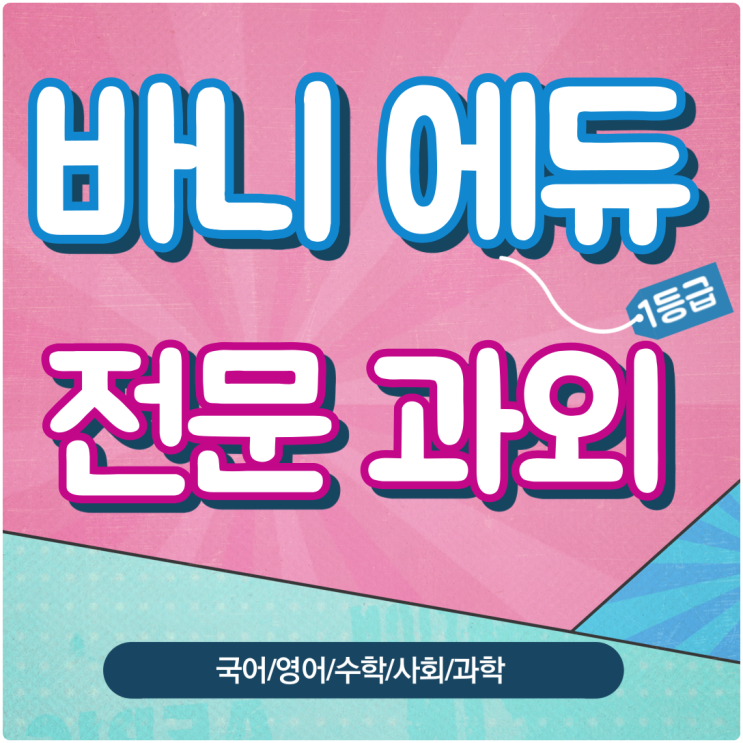  대전 도마동 국어과외 만년동 수학,영어학습지 월평 초등 사회 과학 과외 한국사 전문선생님