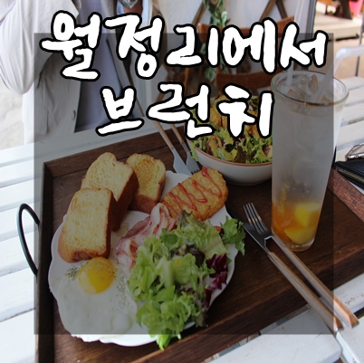  제주도 해변이 보이는 월정리에서브런치 바다뷰값치고 비싸!