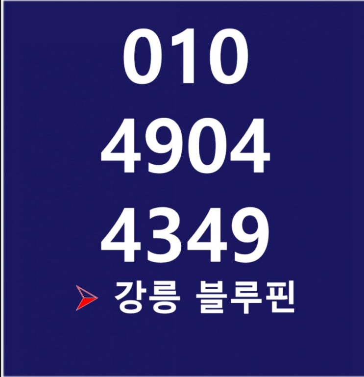  강릉역 블루핀 방문 예약 상담  최진환팀장.