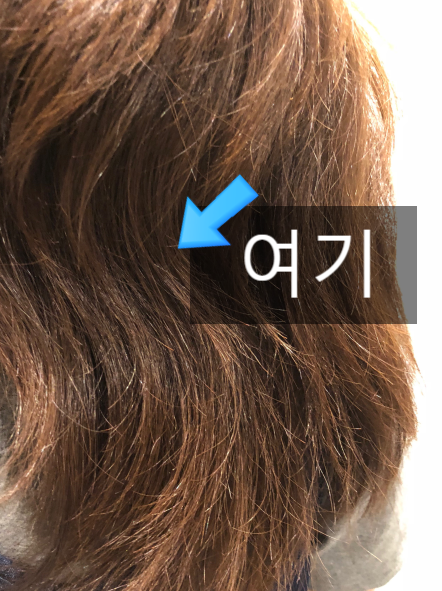  푸석푸석한머리카락은 갑자기 탈모 오는 신호 (본인썰)