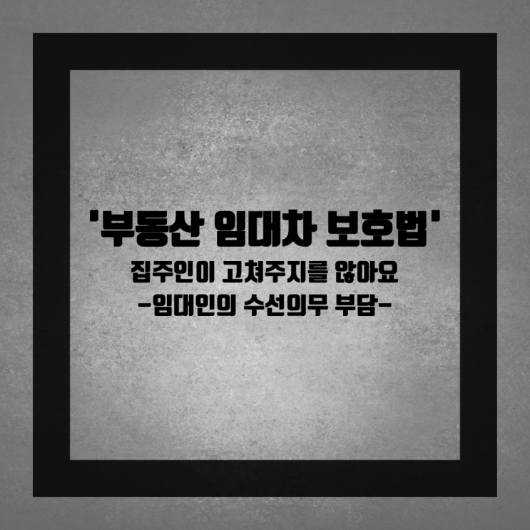  임대인이 계약 당시의 하자를 수리해주지 않는 경우(FEAT. 수선의무부담)