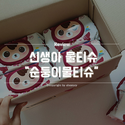  아기물티슈 순둥이물티슈 추천 가을에디션