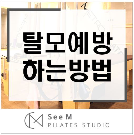  [교대필라테스 씨엠필라테스] 탈모 예방하는 방법 추천